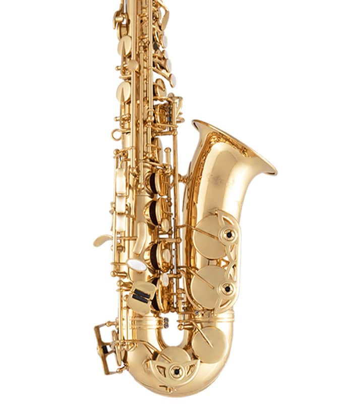 Selmer SAS411 Step-up Alto Saxophone - Lacquered image 1