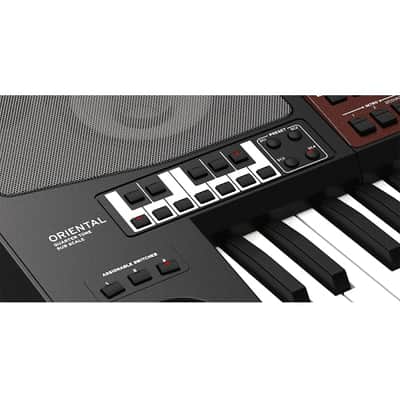 Korg PA700OR Oriental Professional Arranger 61 Keys Keyboard image 5