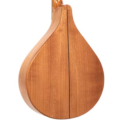 Gold Tone BZ-500 Folkternative Design Solid Spruce Top Irish Bouzouki Mandolin with Hardshell Case image 3
