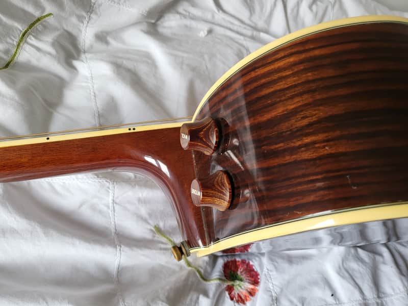 Aria FE60 Elecord 1980s Natural MIJ | Reverb