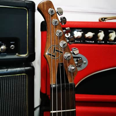 LT Custom Pioneer Superstrat - Special Edition image 3