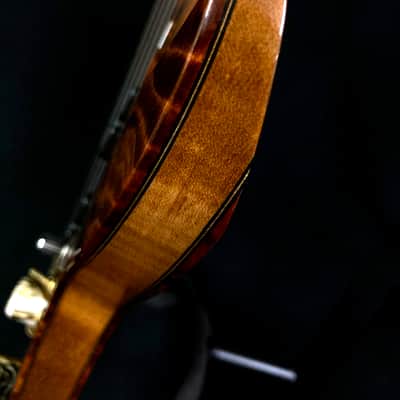 Bezard Guitars Famine 5 String Fretless, Custom Shop, Single Cut Boutique Bass image 14