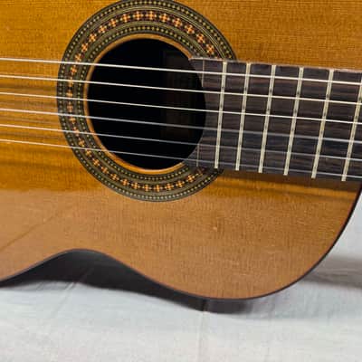 Kevin Mathers Concert Classical Acoustic Guitar - crack/hole in top - with Case 2006 image 6