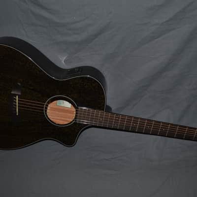 Breedlove Rainforest S Concert CE 2022 Black Gold image 4