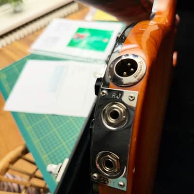 Rickenbacker 4002 1978 Walnut GLO - Collector's Holy Grail - The Pinnacle of RIC Engineering image 17