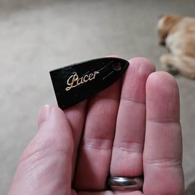 Kramer Pacer truss rod cover image 3