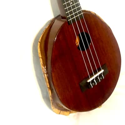 Turtle Shell Tenor Ukulele image 9