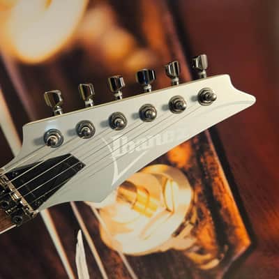 Ibanez RG450DX-CSV Classic Silver E-Guitar, Limited Edition image 6