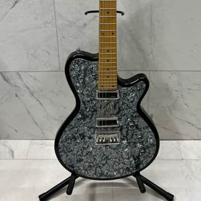 Godin Radiator 2005 image 1