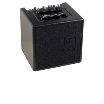 AER Alpha 2-Channel 40-Watt 1x8" Acoustic Guitar Combo