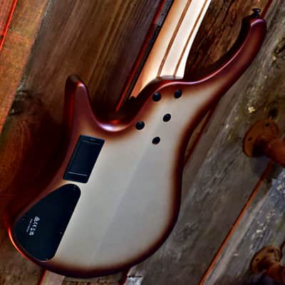 Ibanez EHB600-CCM Bass Workshop - Charred Champagne Burst Matte image 16