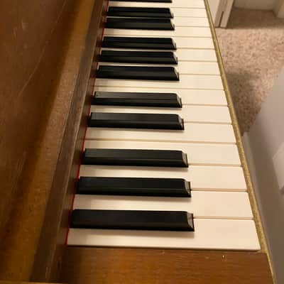 Hohner Pianet N image 2