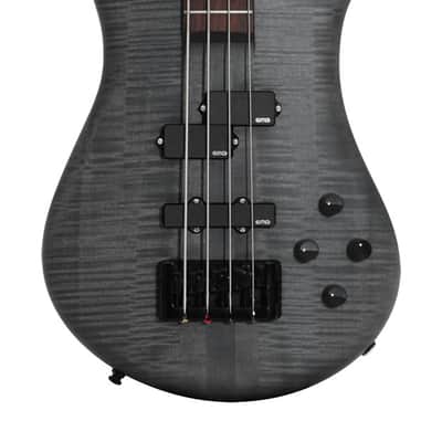 Spector SXEURO4LXMBKS Electric Bass Guitar, EuroLX, 4-String, Active, Black Stain Ma tte image 1