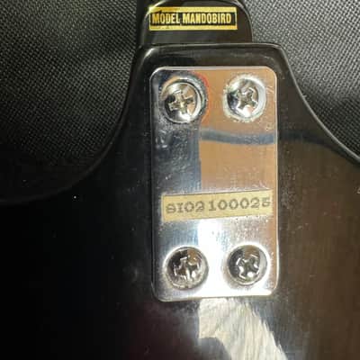 Epiphone Mandobird 2003 - Sunburst image 7