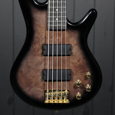 Ibanez GSR205PC image 1