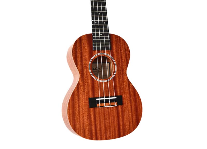 Twisted Wood Soprano Pioneer Ukulele - PI-100S image 1