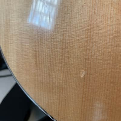 Taylor 314ce with V-Class Bracing 2019 - 2020 image 14