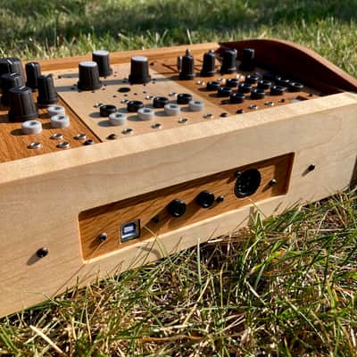 Ellitone Osage Modular Synthesizer System  serial #006 image 5