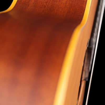 Ortega RCE131 Family Series Pro Solid Cedar Top Mahogany Neck Cutaway Nylon 6-String Classical Acoustic-Electric Guitar w/Gig Bag image 10