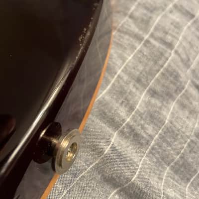 10 Top PRS Custom 24 10 Top 2014 Tortoise Shell image 12