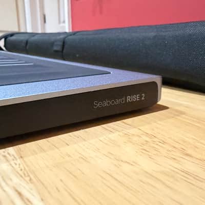 ROLI Seaboard RISE 2 (Platinum Blue) 49-Key + Equator2 + Soft Case image 3