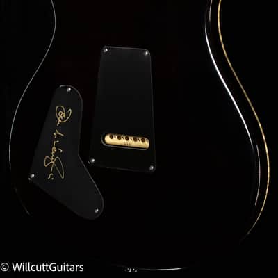 PRS Private Stock 10714 John McLaughlin Ltd Run  (786) image 2