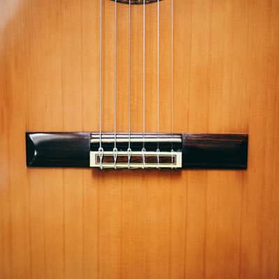 1999 Ryoji Matsuoka M50 – Handcrafted in Japan| Solid Top | Hard Case  | Vintage Classical Tone image 5