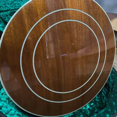 Epiphone Mastertone Classic Banjo image 13