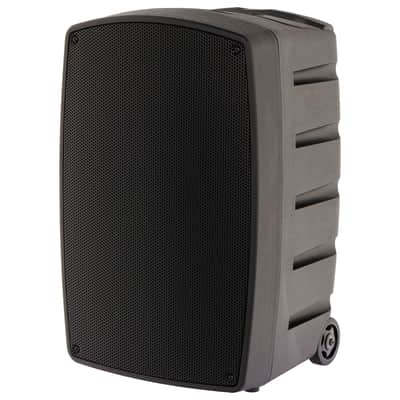 Algam Audio TR12-BT Altoparlante Portatile a Batteria con 2 Microfoni Wireless e Bluetooth Bild 3