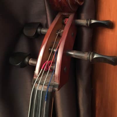 Samuel / Eastman VC80 4/4 Cello image 2