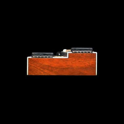 (Video) Double-Neck, non-Pedal Lap Steel w/Stand & OHSC image 6