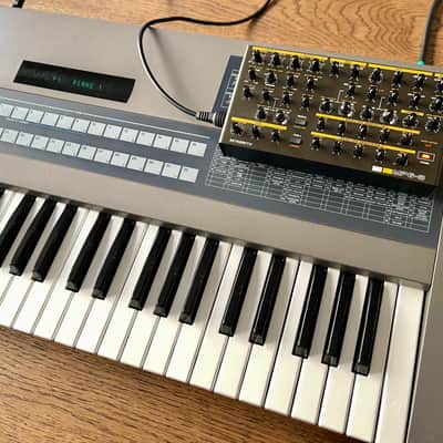 Roland JX-8P Classic 1985 Analog Synthesizer + Retroaktiv MPG-8 Programmer - Excellent image 12