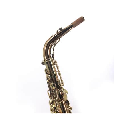 Yanagisawa A-WO20 Alto Saxophone - Bronze image 9