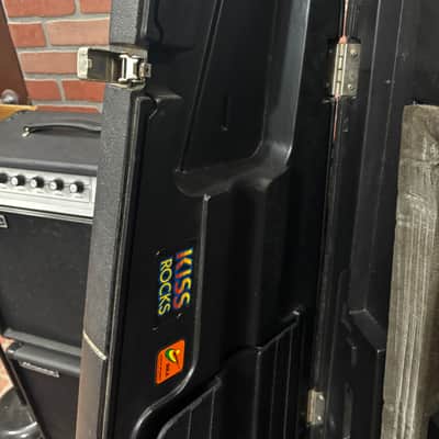 Peavey T-40 Case Bild 11