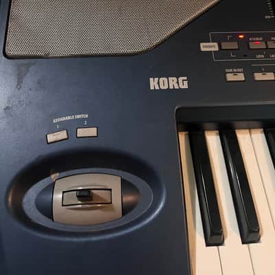 Korg PA800 2006-2011 - Blue and Silver image 11