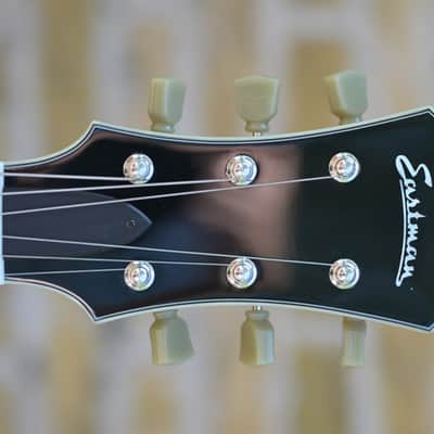 Eastman T486B - Classic image 2