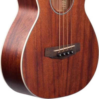 Ibanez PNB14E 4-String Acoustic-Electric Bass Guitar, Okoume Top, Open Pore Natural image 4