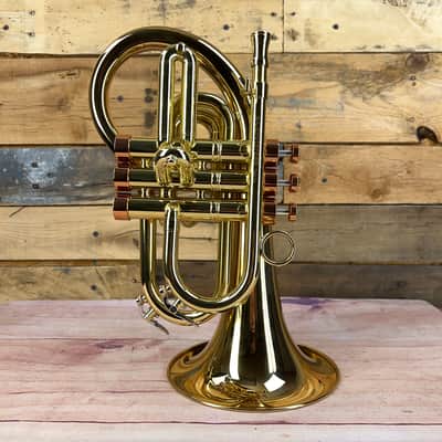 Carol Brass Taylor Phat Puppy Flugelhorn image 2
