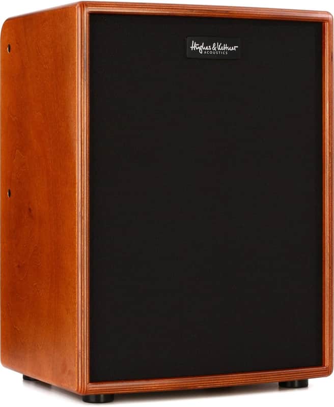 Hughes & Kettner ERA 2 400-Watt Acoustic Combo Amp - Wood image 1