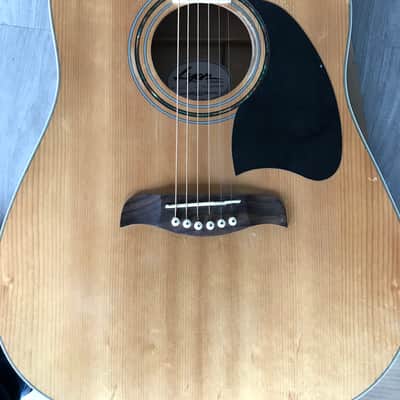 Washburn Lyon Acoustic/Electric Guitar image 2