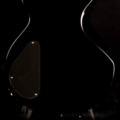 Reverend Rick Vito Signature Soulshaker image 5