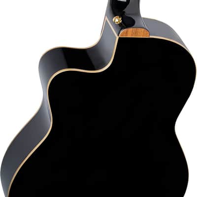 ORTEGA SOLID TOP THINLINE ELECTRIC-CLASSICAL GUITAR (RCE138-T4BK) image 5