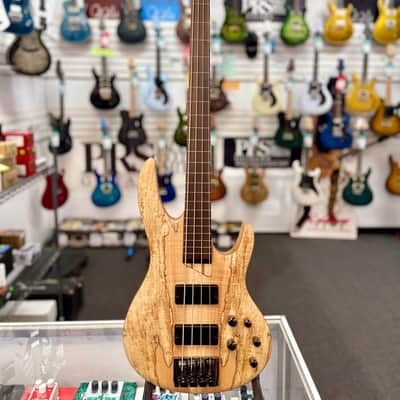 ESP LTD B-204SM Fretless Bass Guitar - Natural Satin image 1
