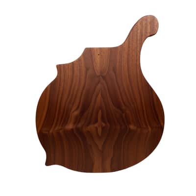 Licensed by Weymann® USA MADE Celestial BIZARRE Body Custom Shop Replacement Body Solid Body Electric image 14