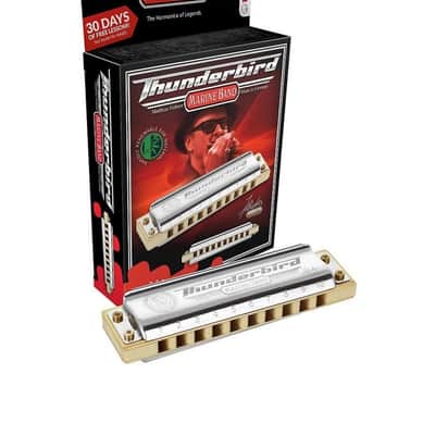Hohner Thunderbird Keys Low C image 2