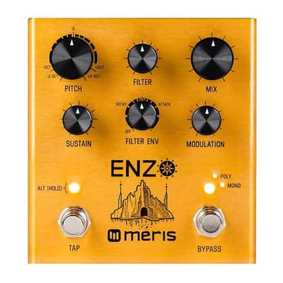 Meris Enzo Multi-Voice Instrument Synthesizer image 1