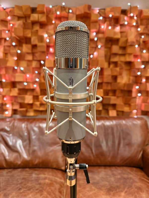 Beesneez Pro Audio Tribute 1 ( U47 Style ) image 1