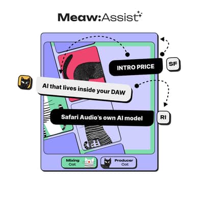 Meaw : Assist image 1