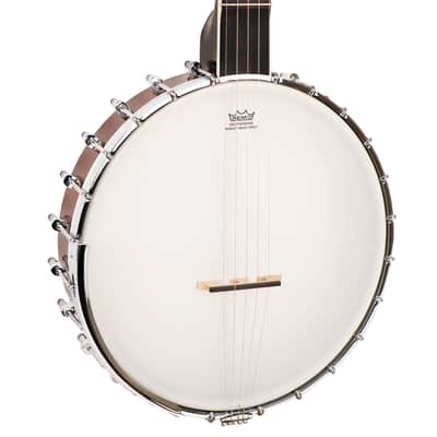 Gold Tone WL-250 White Ladye Professional Maple Neck Openback Banjo with Gig Bag image 3