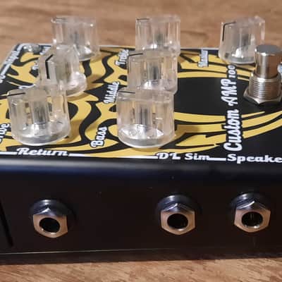 Baroni-Lab Custom Hand-Made Italian 100w Guitar Amp image 3